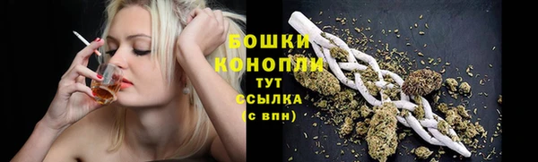 Альфа ПВП Шали