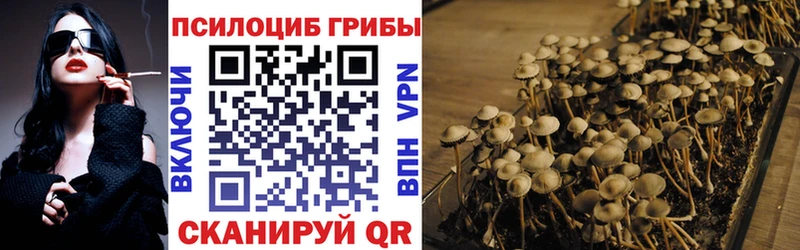 где купить наркотик  kraken tor  Галлюциногенные грибы Psilocybe  Сретенск 